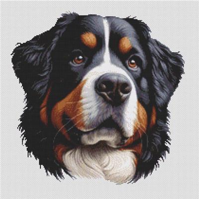 (image for) Bernese Mountain Dog 3